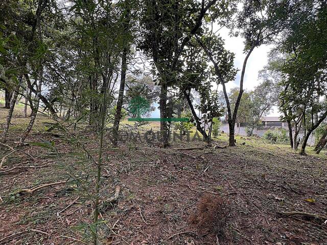 #2289 - Terreno para Venda em Cotia - SP - 3