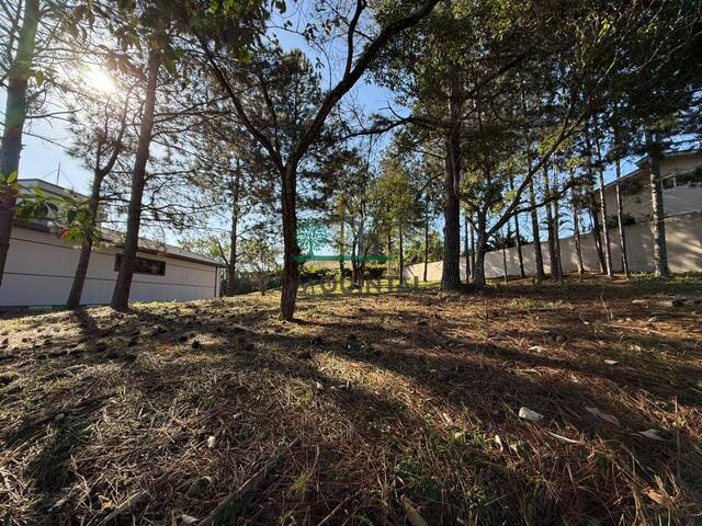 #2995 - Área para Venda em Cotia - SP - 1