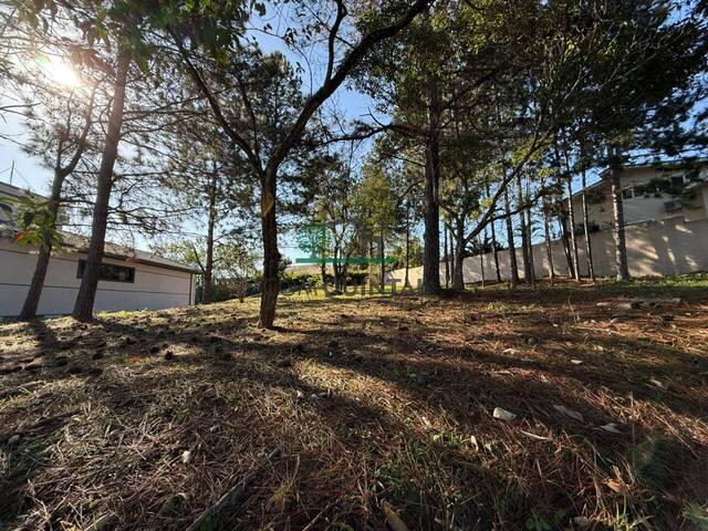 #2995 - Área para Venda em Cotia - SP - 3