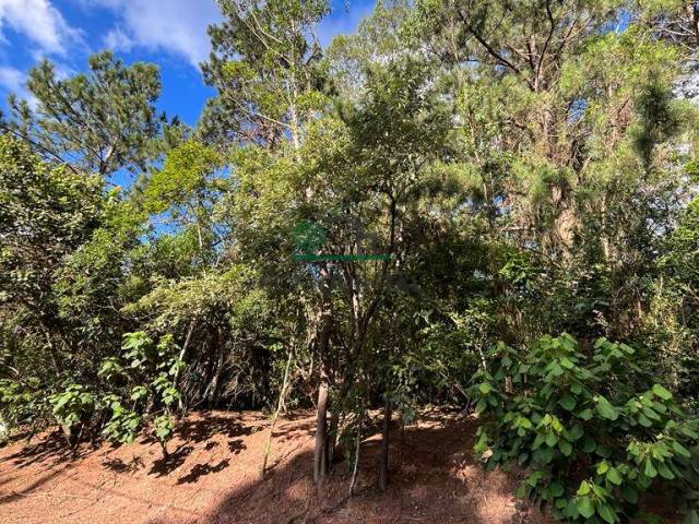 #3123 - Terreno para Venda em Jandira - SP - 2