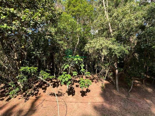 Terreno para Venda em Jandira - 5