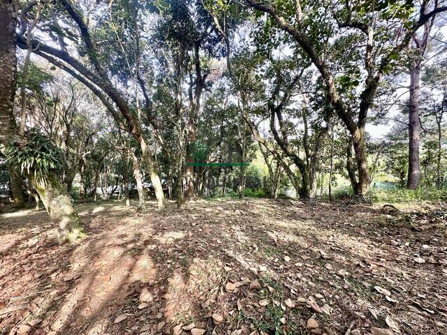 #3246 - Terreno para Venda em Cotia - SP - 3