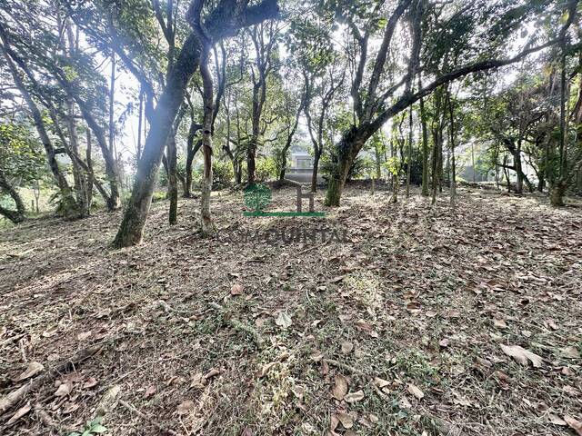 #3246 - Terreno para Venda em Cotia - SP - 2